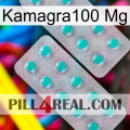 Kamagra100 Mg 29